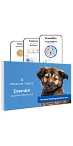 Wisdom Panel Premium Dog DNA Kit: Most Comprehensive with 265+ Health Tests, Identify 365+ Dog Breeds, 50+ Traits, Relatives, Ancestry, Genetic Diversity - Pack of 1