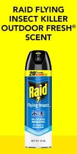 Raid Wasp & Hornet Killer Spray, Kills the Entire Nest, For Paper Wasps, Yellow Jackets, Mud Daubers, and more, 17.5 oz