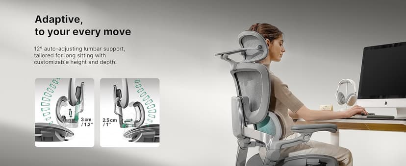 HINOMI H2 Pro Premium Ergonomic Office Chair - Comfy Home Office Desk Computer Chair with Adjustable Back Support, Swivel Wheels, Flip-up Arms, Comfortable Mesh Seat for Desk Work (Gray)