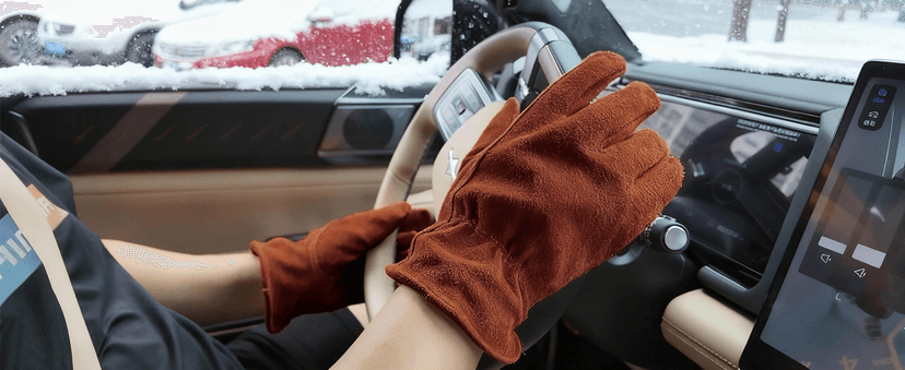 DLY Winter Work Gloves, Water-Resistant, Insulated, Puncture and Abrasion Resistant, Cowhide Durable gloves Warm Thick