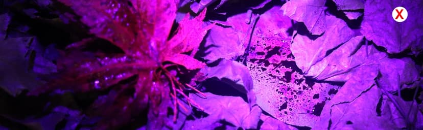 LUMENSHOOTER LUMENSHOOTER B2 Blood Tracking Light for Deer, Blood Tracker Flashlight for Hunting, Deer Hunting Accessories for Men