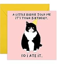 CENTRAL 23 - Funny Birthday Card - 'Happy Birthday To My Otter Half' - For Boyfriend Girlfriend Wife Husband Fiance - Cute Animal Humor - Comes with Fun Stickers