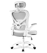 Freepub Ergonomic Office Chair with Headrest 3D, Mesh Office Desk Chair with Adjustable Lumbar Support, Computer Chair with Flip up Armrests, 350LBS Capacity - Design for Home/Offices - Black
