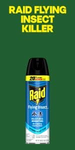 Raid Wasp & Hornet Killer Spray, Kills the Entire Nest, For Paper Wasps, Yellow Jackets, Mud Daubers and more, 14 oz (Pack of 2)