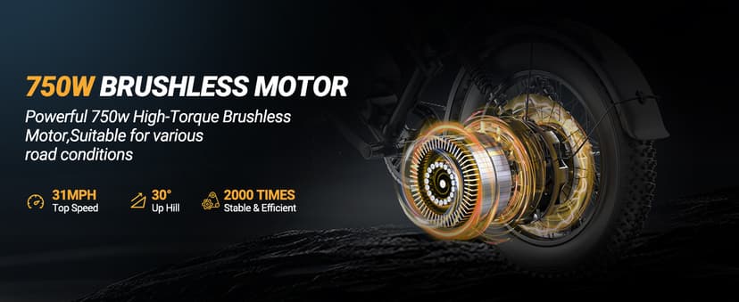 Fat Tire Electric Dirt Bike 750w for Adults 20" Full Suspension Electric Motorcycle Ebikes 48V 18AH Removable Battery,31MPH Top Speed,LED Headlights, Turn Signals,40-70 Miles Range