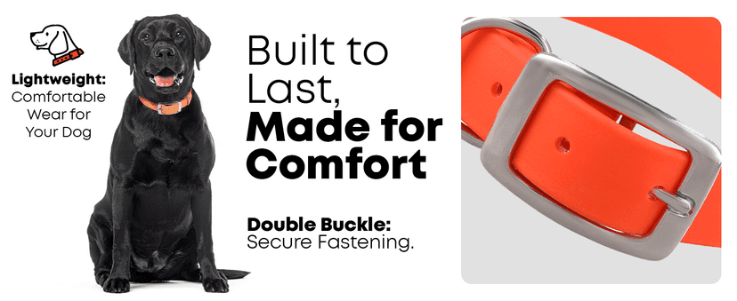 Regal Dog Products Medium Orange Dog Collar with Heavy Duty Double Buckle & D Ring | Vinyl Coated, Custom Fit, Adjustable Biothane Dog Collar Chew Resistant Waterproof Center-Ring Collar for Dogs