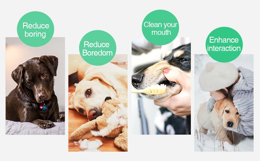 Dog Chew Toys Dog Toothbrush Stick Teeth Cleaning Brush Dental for Medium Large Dog, Puppy Christmas Easter Birthday Gifts, Outdoor Squeaky Toys for Aggressive Chewers Interactive Tough Toys