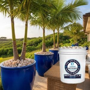 40 lbs Bucket of All Purpose Sand Covers .5 cu ft Area Landscaping, Pathways, driveways, Drainage, patios, planters, Gardens, playgrounds, Sandbox, Courts, top Dressing