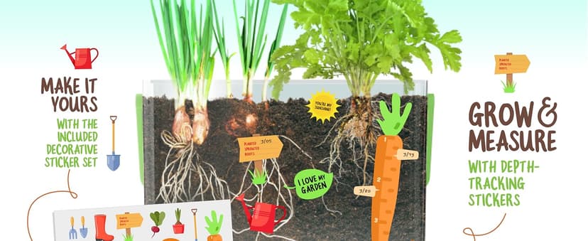 Birthday Gifts for Boy, Girl 4, 5, 6, 7, 8, Year Old - Science STEM Toy & Craft Growing Kits for Ages 4-8, 6-8 Years Root Viewer Kit for Kids - Grow Your Own Plant for Boys & Girls Gifts B0CRK33YXD