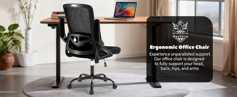 Ergonomic Office Chair, Desk Chair with Adjustable Lumbar Support, Breathable Mesh Comfy Computer Chairs with Flip-up Armrests Executive Task Chair for Adults Home Office(Black)
