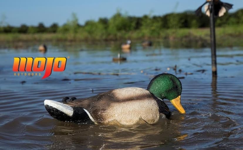 MOJO Outdoors - Premium Waterfowl and Duck Hunting Decoys