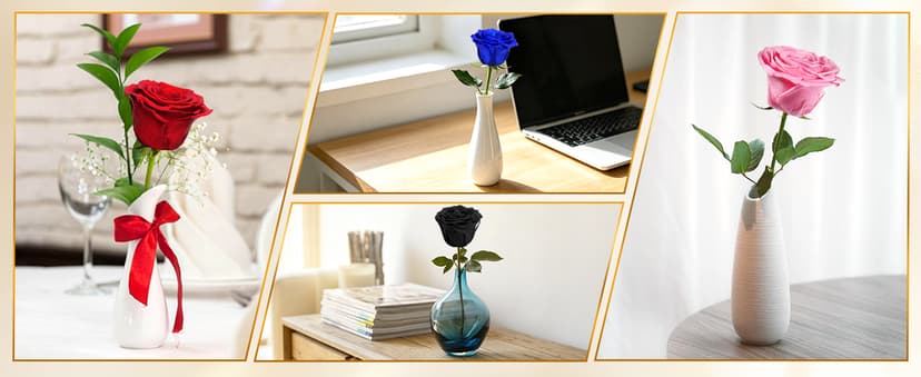 Preserved Rose Flowers for Delivery, Single Red Forever Roses Real Flower Gifts for Women Mom, Mother's Day Wife Anniversary Wedding Graduation Christmas Valentine's Day Rose Gifts for Her Girlfriend B0HBVTMNM1