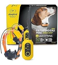 Dogtra PATHFINDER2 MINI Compass Live GPS Dog Tracking & Training System - 4-Mile Range E-Collar Handheld with No Subscription, Offline Maps, GPS Fence, Expandable up to 21 Dogs, for Dogs 15+ lbs