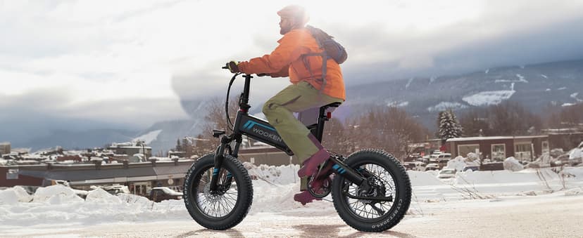 TotGuard Electric Bike,20" Electric Bike for Adults Peak 750W Brushless Motor,20MPH Fat Tire Ebike,Foldable Adult Electric Bicycles with 48V 10Ah Removable Battery,7-Speed,SGS Certified to UL 2849