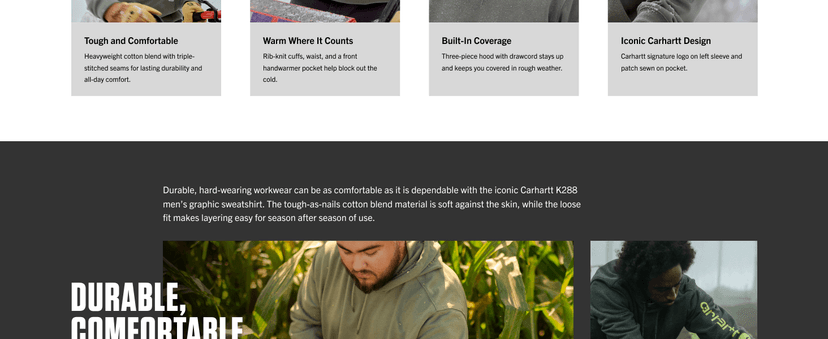 Carhartt Men's Midweight Signature Sleeve Logo Hooded Sweatshirt