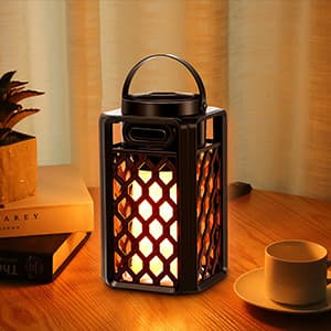 Outdoor Bluetooth Speakers Waterproof Portable Led Flame Speaker with Torch Atmosphere 10w Enhanced Bass for Patio Porch Garden Home Backyard Decor, Gifts for Men Women Couples Dads Moms