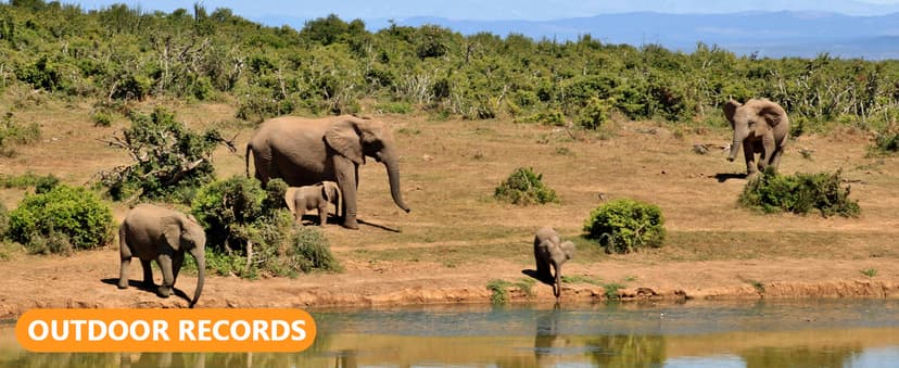 Trail Camera, 60MP Hunting Camera with WiFi, 32GB TF Card, Night Vision, Motion Activated, IP66 Waterproof, 120°Wide-Angle for Deer Scouting or Home Security, APP Control, H.264 MP4 Video