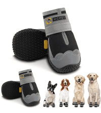 Hcpet Dog Shoes, Dog Boots & Paw Protectors for Winter Snowy Days, Rainy Weather, Outdoor Anti-Slip Sole Dog Booties for Hardwood Floor Black-Leg 1