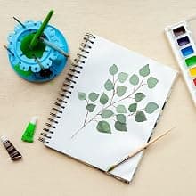 Non-Spill Paint Water Cup & Brush Cleaner, Brush Holder, Squeegee Lips & Drip Tray, Acrylic, Watercolor, Art Supplies Paint Puck Ultimate Rinse Cup Paint Brush Cleaner, Mug (4 in), Green B07XVR2K3B