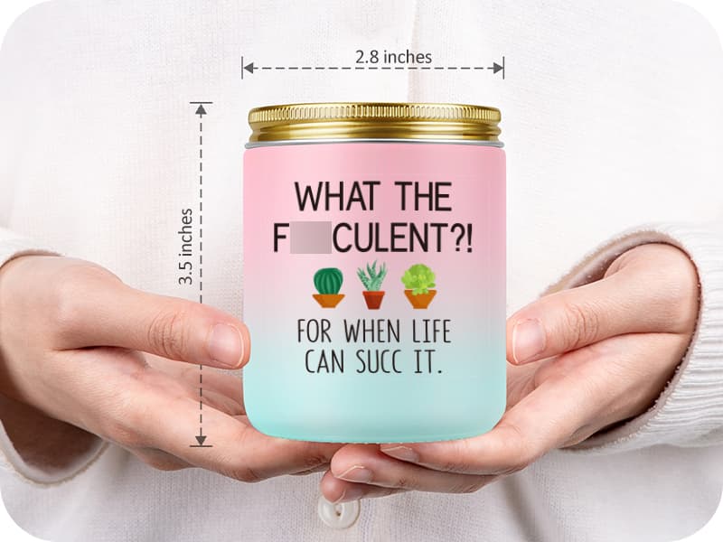 Pick Me up, Break up Gifts for Women Her, Funny Birthday Christmas Cool Gifts for Plant Lovers Mom Lady Friend Wife Miracu Succulent Candle, Get Well, Cheer up, Plant Lover Gifts for Women B0BJ2RSYBB