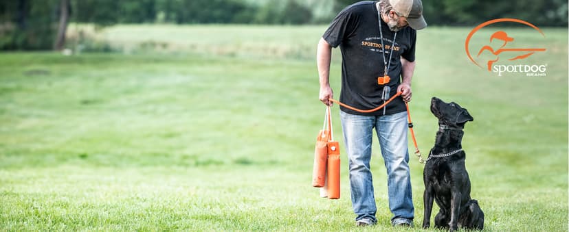 SportDOG FieldTrainer 425X - Remote Trainer Designed for Off-Leash Control & Training - 500-Yard Range - Waterproof - Quick Charge-Collar with 21 Levels of Static, Tone, & Vibration