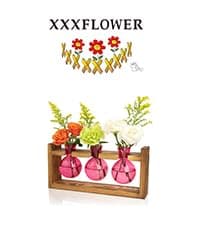 XXXFLOWER Plant Terrarium with Wooden Stand, Air Planter Bulb Glass Vase Metal Swivel Holder Retro Tabletop for Hydroponics Home Garden Office Decoration - 3 Bulb Vase