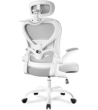 Freepub Ergonomic Mesh Office Chair, Home Desk Chair with Adjustable Lumbar Support, 3D Headrest and Armrests, Reclining Big and Tall High Back Computer Gaming Chair for Man Women, 350lbs, Black