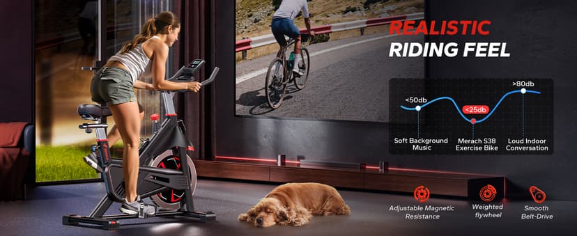 Merach Exercise Bike for Home Gym, Low Noise Stationary Bike with Brake Pad, Indoor Workout Bike with Self-Developed App, Tablet Mount and Fitness Courses for Weight Loss, 300 Lb Weight Capacity