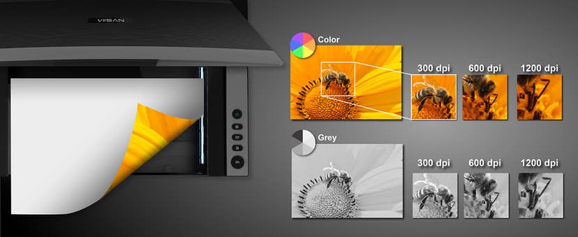 VIISAN 3120 A3 Flatbed Scanner, 1200 DPI, CIS Sensor, Scan 11.7" x 16.7" in 8 sec, Frameless, Auto-Scan, Document & Photo & Book Scanner, Design for Library, School and Soho. Supports Windows & Mac