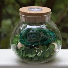 Preserved Real Roses with Colorful Mood Light Wishing Bottle, Eternal Rose,Never Withered Flowers, Table Decor,Christmas Anniversary Valentine's, Blue 4.3inch, 1pcs B07DT2GBT2