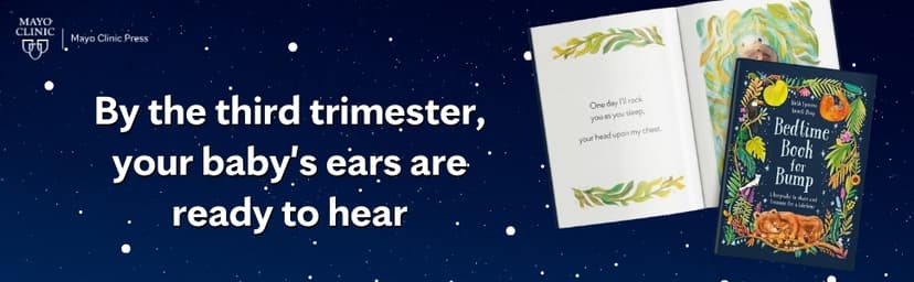 Bedtime Book for Bump