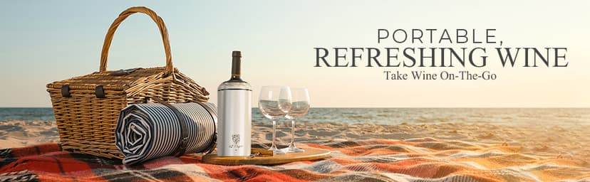 Wine Chiller Set - Perfect Wine Gifts for Women & Men - Stainless Steel Insulated Wine Cooler with Wine Pump, Aerator & 4 Stoppers (Silver)