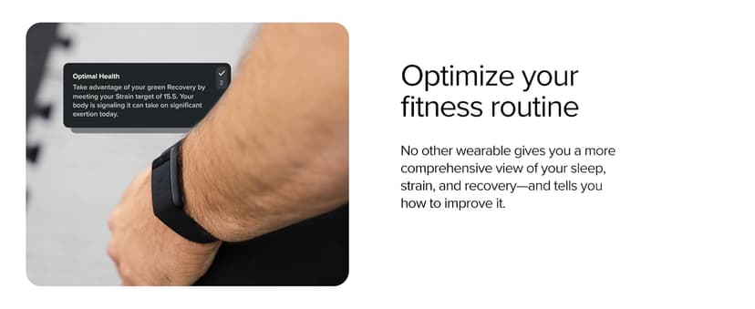 WHOOP 5.0/MG Activity Tracker - 12 Month Membership - Health and Fitness Wearable – 24/7 Activity and Sleep Tracker, Personalized Coaching, Menstrual Cycle Insights – 14+ Days Battery Life