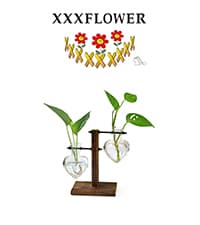 XXXFLOWER Plant Terrarium with Wooden Stand, Air Planter Bulb Glass Vase Metal Swivel Holder Retro Tabletop for Hydroponics Home Garden Office Decoration - 3 Bulb Vase