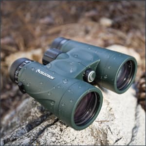 Celestron - Nature DX 8x42 Binoculars – Ideal for Birding and Outdoors – 42mm Objective Lenses – Wide 7.4° Field of View – BaK-4 Prisms – Fully Multi-Coated – Waterproof and Fogproof