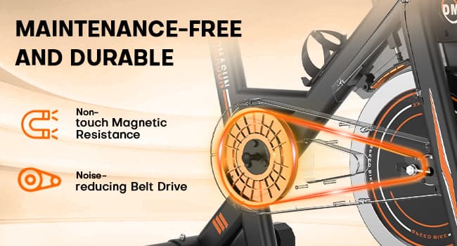 DMASUN Exercise Bike, Silent Magnetic Resistance Stationary Bike for Home with 330 LBS Capacity, Pedals with Anti-loosening Nuts, Indoor Bike with Comfortable Seat Cushion, Digital Display