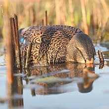 Avian-X Power Shaker Motion Decoy