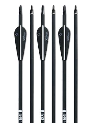 TIGER ARCHERY 30Inch Carbon Arrow Practice Hunting Arrows with Removable Tips for Compound & Recurve Bow(Pack of 12)