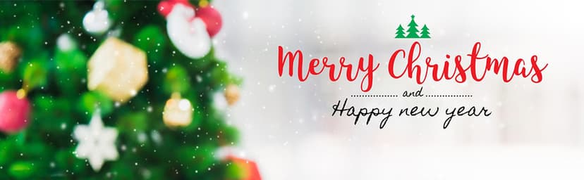 WaaHome Our Friendship is Endless Christmas Ornaments Friend Gifts for Women, Best Friend Ornaments for Christmas Tree Decorations Friendship Gifts for Friends Female Women