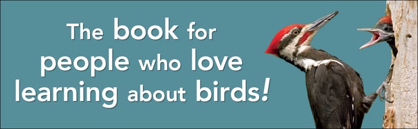 Bird Trivia: Funny, Strange and Incredible Facts about North American Birds