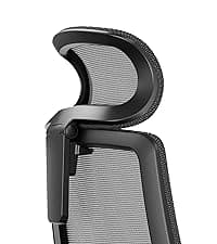 Branch Ergonomic Chair Pro - Mesh Office Chair with 14 Points of Adjustment - Height, Depth & Tilt Adjustable - 5D Armrests - Forward Tilt, Smooth Recline, and Lumbar Support - Black