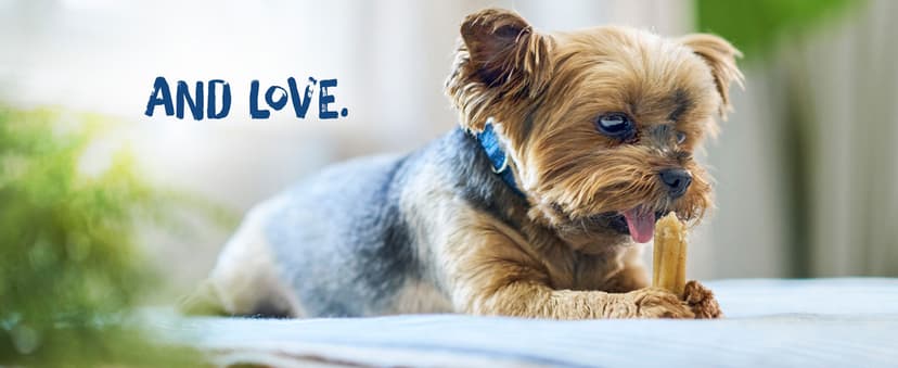 Purina Busy Bone Adult Dog Chew Bone Treats, Peanut Butter - 10 ct. Pouch