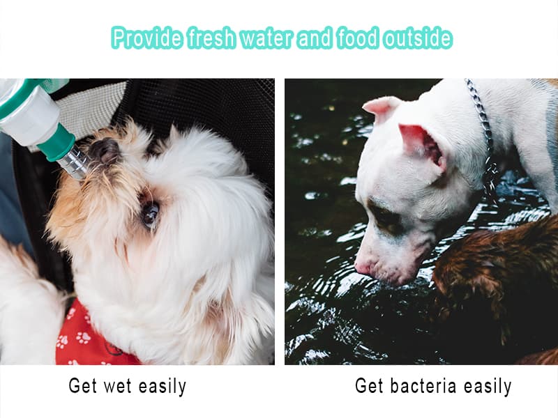 Feeding & Hydration | Travel Water Bowl | Portable Pet Dispenser | Dog Gifts | Puppy Essentials | for Hiking Camping Beach Cibaabo Dog Water Bottle Portable with Food Container & Filter for Travel B09F5ZYV7M