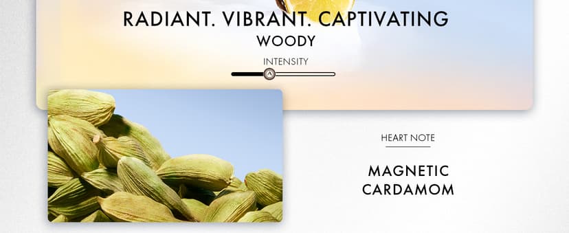 Azzaro Wanted Eau de Toilette - Vibrant & Irresistible Mens Cologne - Woody, Citrus & Spicy Fragrance - Fresh Notes of Cardamom, Lemon, Vetiver - Everyday Wear - Luxury Perfumes for Men