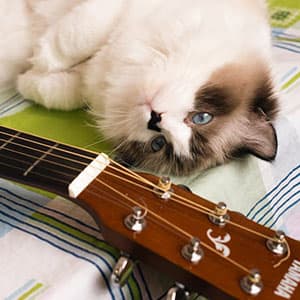 XPENMULBOJA Couple Gifts for Boyfriend Girlfriend Fathers Day Cat Dad Keychain Anniversary Matching Couple Stuff for Wife Husband Him Her Christmas Stocking Stuffer for Women Men Cat Lover