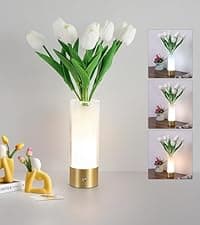 Cat Night Light Cute Night Light - Anime Charater 16 Color Change Decor Kitty Lamp with Remote, Dim, Timer,Kids Gifts for Christmas Birthday,Nursery Baby