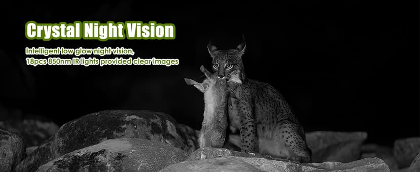 MAXDONE Solar Trail Camera WiFi Bluetooth - 48MP 30fps Game Camera with 5200mAh Rechargeable Battery, 0.1s Trigger Speed Motion Activated Trail Cam IP66 with 32GB TF Card for Wildlife Monitoring