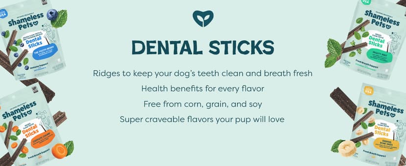 Shameless Pets Dental Treats for Dogs, The Tooth Berry - Healthy Dental Sticks with Immune Support for Teeth Cleaning & Fresh Breath - Free from Grain, Corn & Soy