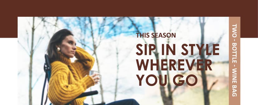 Tirrinia 2 Bottle Wine Gift Tote Carrier - Leakproof & Insulated Padded Versatile Wine Cooler Bag for Travel, BYOB Restaurant, Wine Tasting, Party, Dinner,Gift for Wine Lovers,Grey