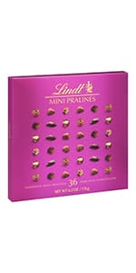 Lindt Gourmet Chocolate Truffles Gift Box, Assorted Chocolate Candy for Mother's Day Gifts, 26 Count, 14.7 oz. Box